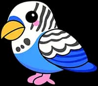 Budgie