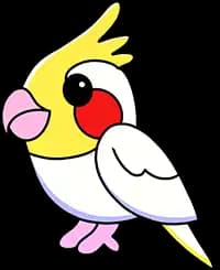Cockatiel