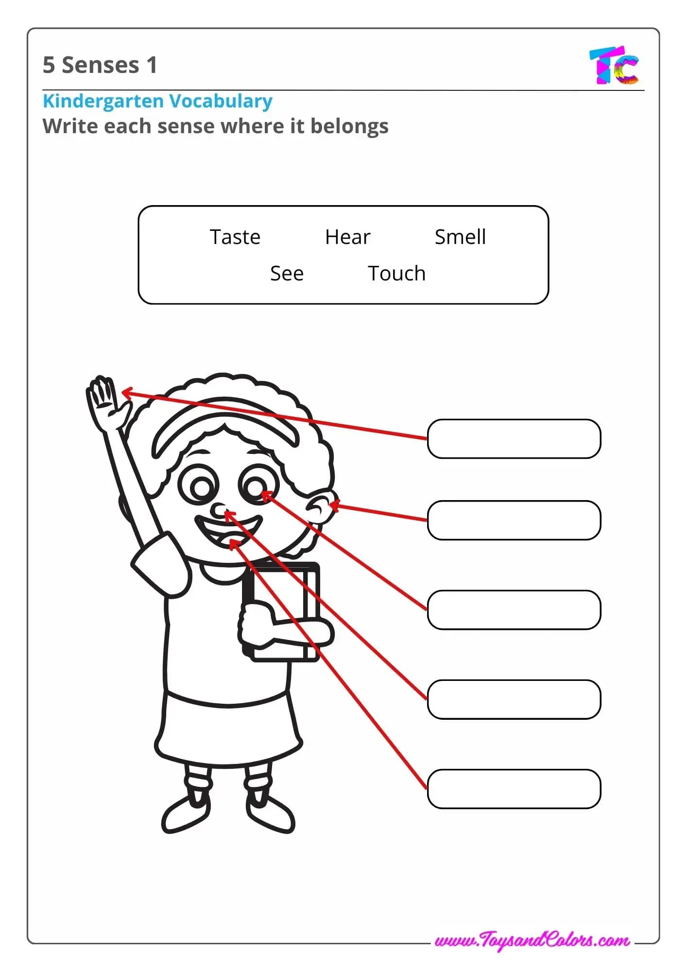 5 Senses 1