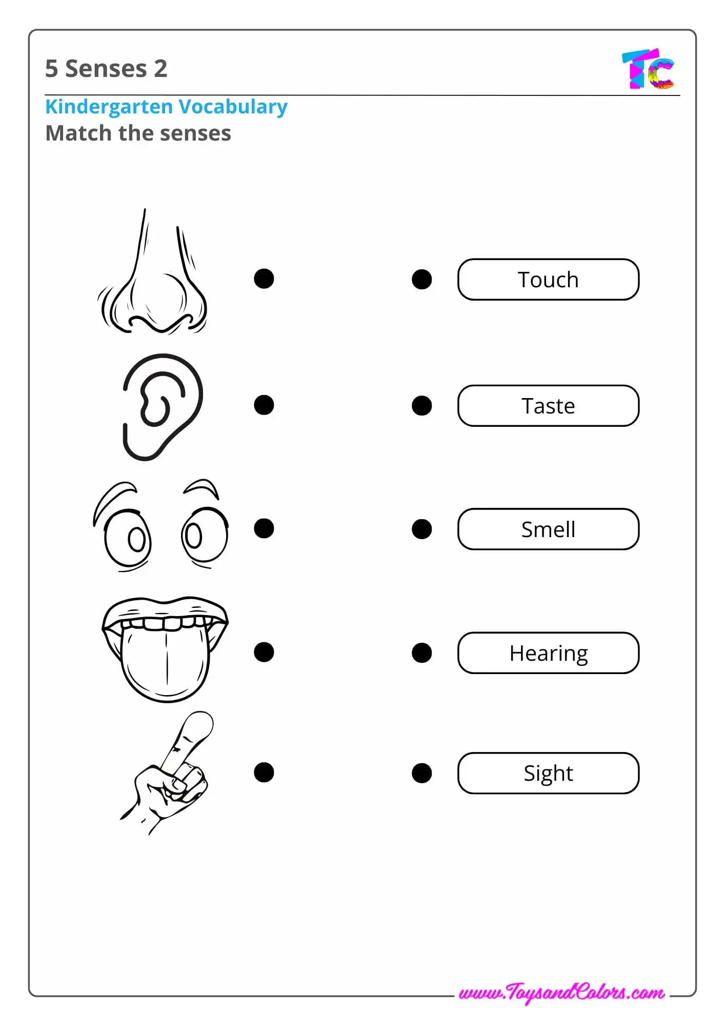 5 Senses 2