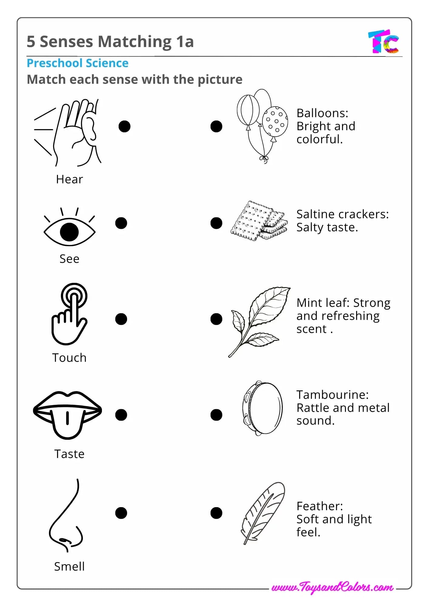 5 Senses Matching