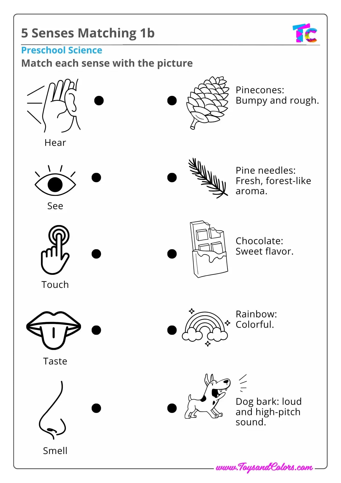 5 Senses Matching
