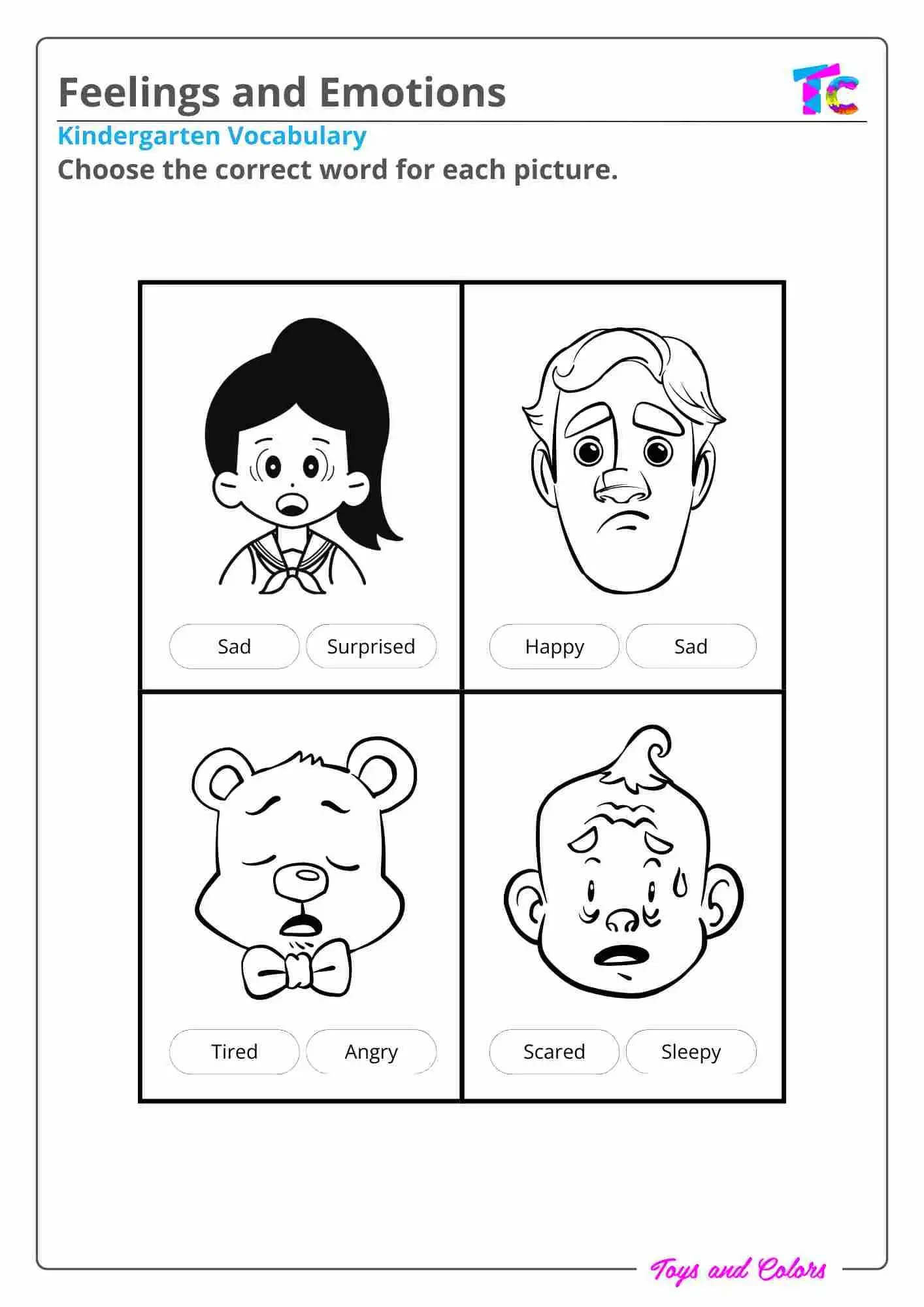 Feelings and Emotions