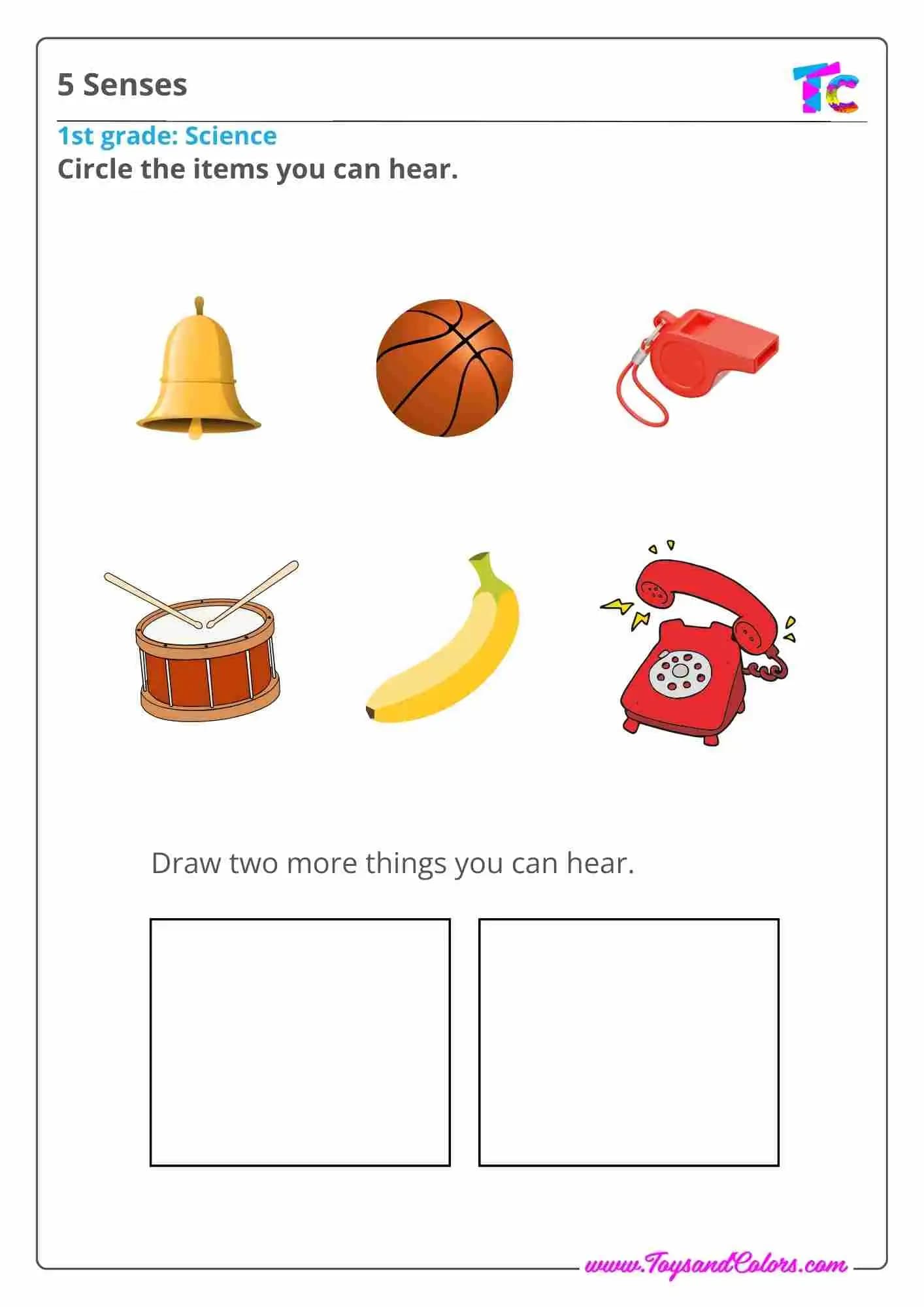 Five Senses: Hear