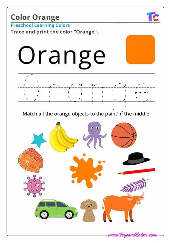 Learning Colors Orange