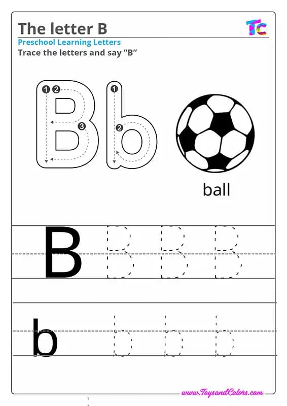 The letter B