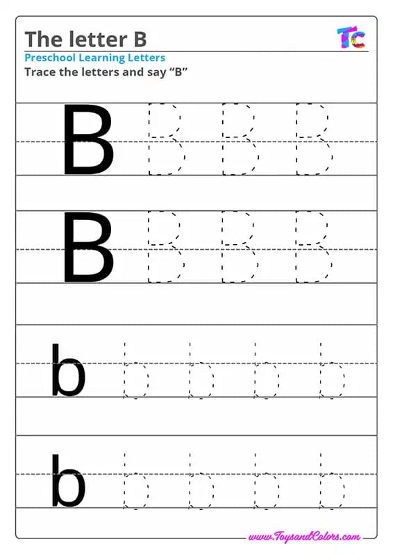 The letter B