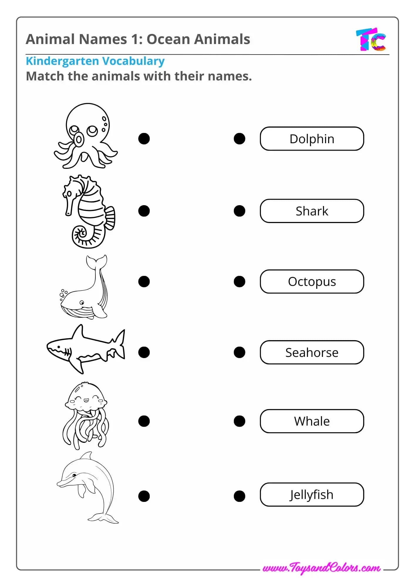 Animal Names 1: Ocean Animals