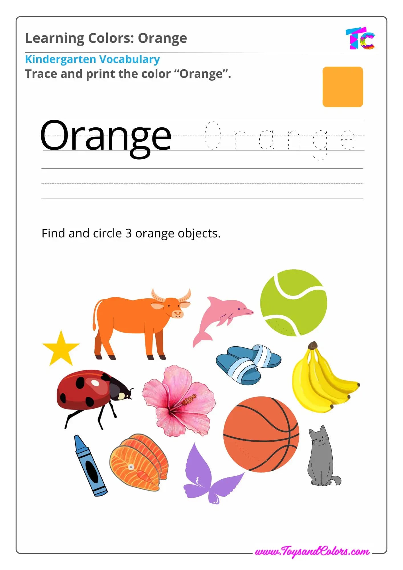 Learning Colors: Orange