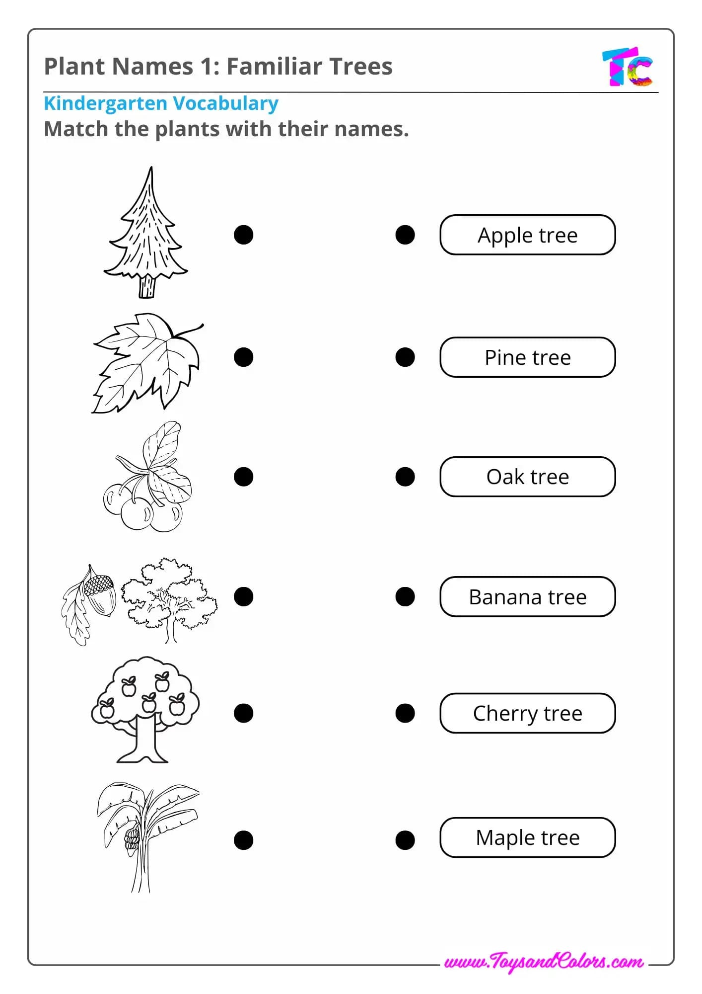 Plant Names 1: Familiar Trees