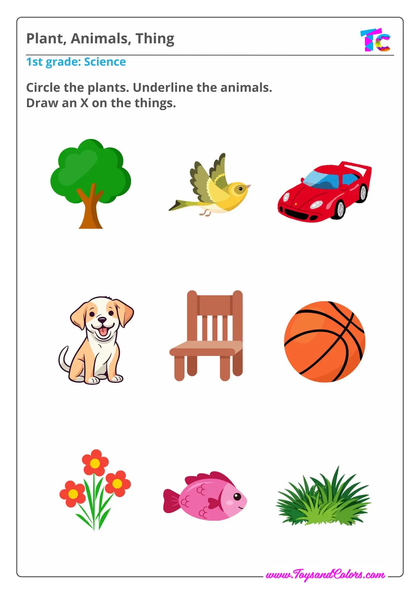 Science: Plant, Animals, Thing