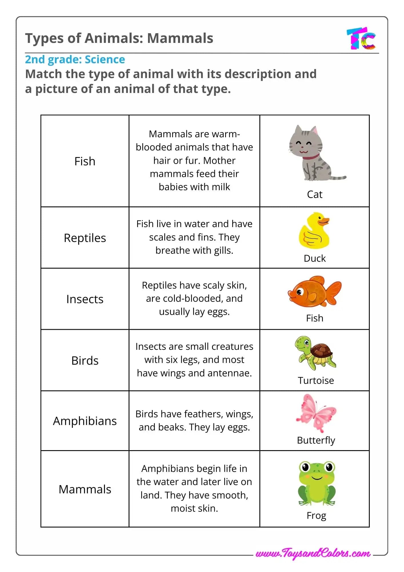 Types of Animals: Mammals